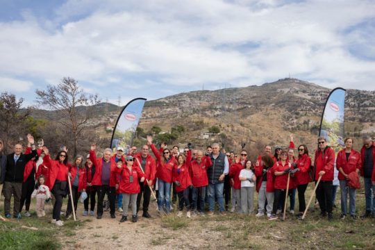 Henkel Hellas Reforestation_Central Photo